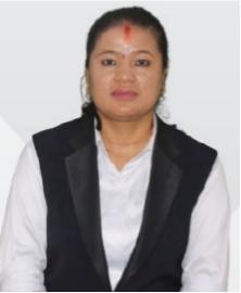  उपन्यायाधिवक्ता