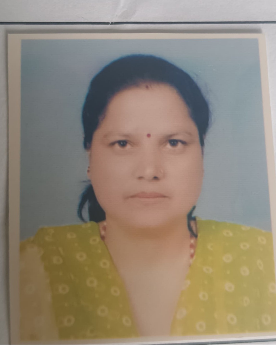 उपन्यायाधिवक्ता