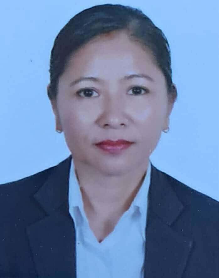 उपन्यायाधिवक्ता