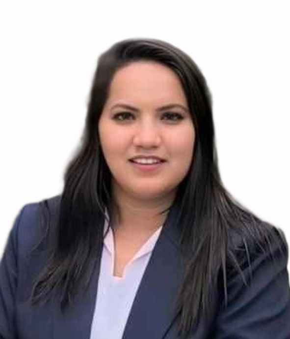 उपन्यायाधिवक्ता